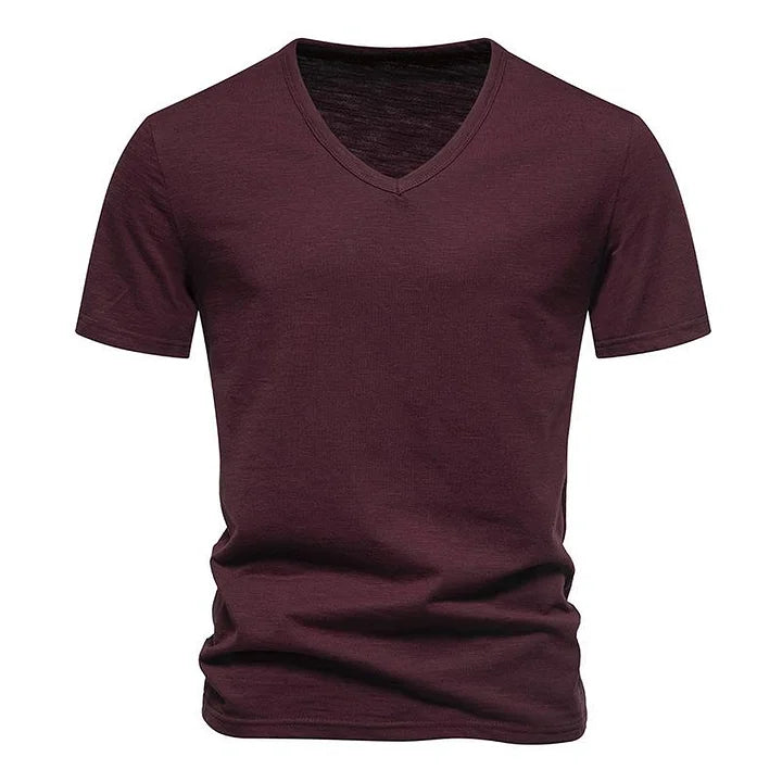 Luca - T-shirt Casual a V in Bamboo da Uomo